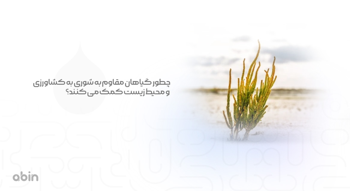 گیاهان مقاوم به شوری در کشاورزی